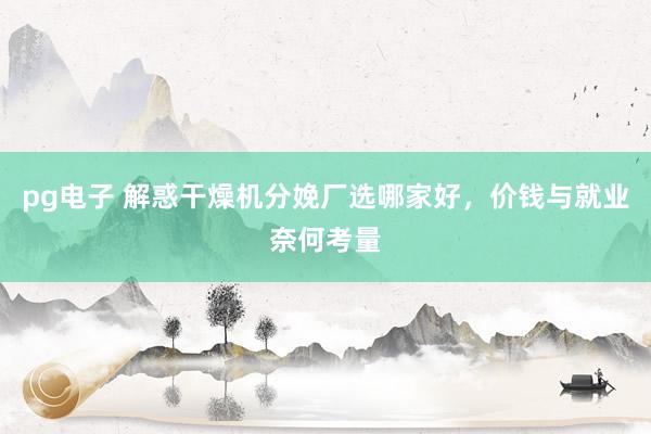pg电子 解惑干燥机分娩厂选哪家好，价钱与就业奈何考量
