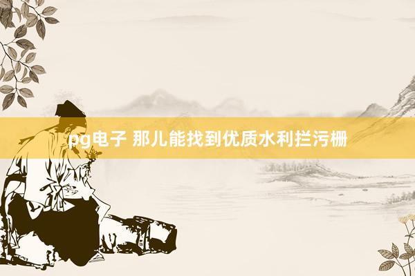 pg电子 那儿能找到优质水利拦污栅
