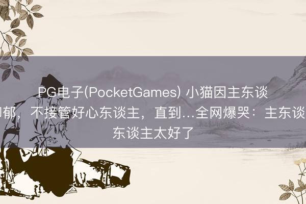 PG电子(PocketGames) 小猫因主东谈主升天抑郁，不接管好心东谈主，直到…全网爆哭：主东谈主太好了