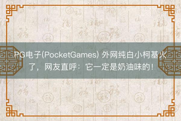 PG电子(PocketGames) 外网纯白小柯基火了，网友直呼：它一定是奶油味的！
